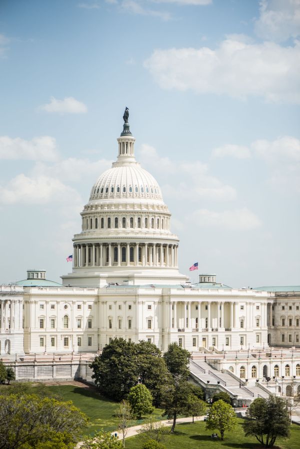 The DC Darlings Engagement Party