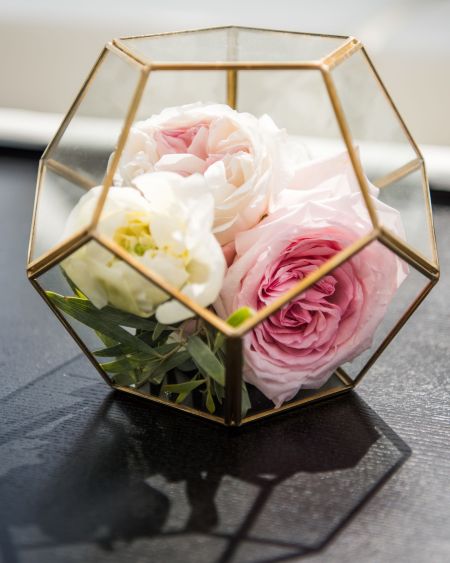 The DC Darlings Engagement Party