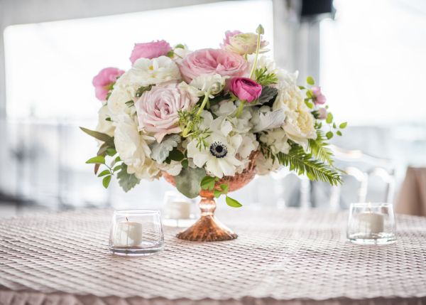 The DC Darlings Engagement Party