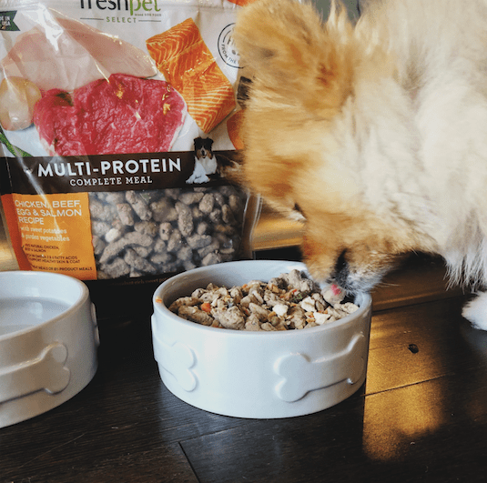 Freshpet x The DC Darlings